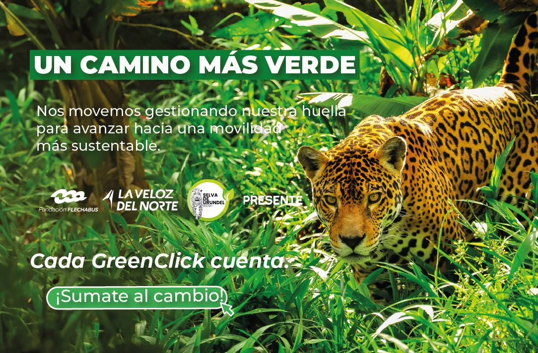 Descripción imagen móvil